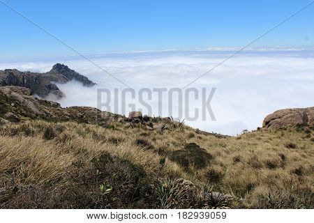 Tirada na trilha ao Morro do Couto, Itatiaia, RJ.