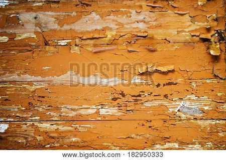 textured background of old wood and old paint of different colors