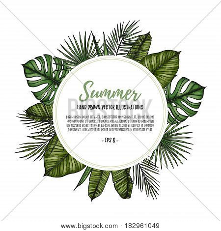Summer Tropical Exotic Template. Label With Palm Leaves (monstera, Areca Palm, Fan Palm, Banana Leav