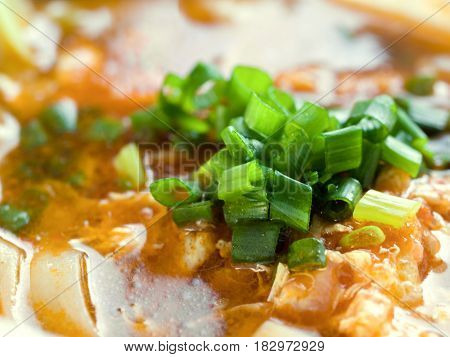 COLOR PHOTO OF SPRING ONION, SCALLION, GREEN ONION AND SALAD ONION
