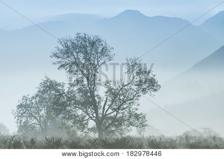 Stunning Winter Foggy Sunrise Over Countryside Around Crummock Water In Lake District England