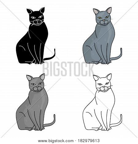 Chartreux icon in cartoon design isolated on white background. Cat breeds symbol stock vector illustration.