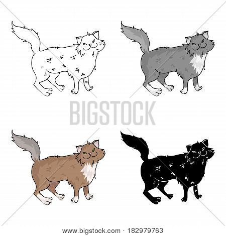 Norwegian Forest Cat icon in cartoon design isolated on white background. Cat breeds symbol stock vector illustration.