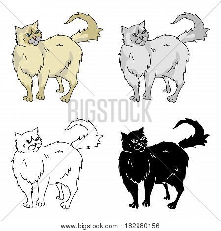 Persian icon in cartoon design isolated on white background. Cat breeds symbol stock vector illustration.