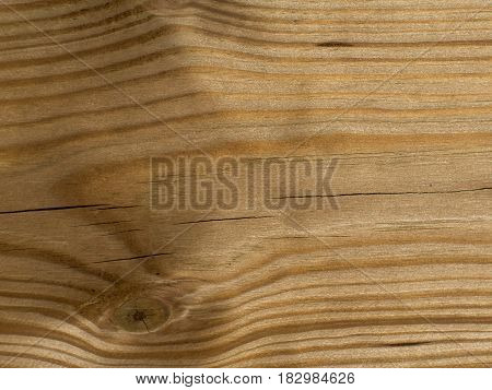 wodden structure, pine close up / macro