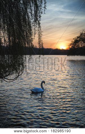 Beautiful Vibrant Spring Sunrise Over Calm Lake In English Countryside