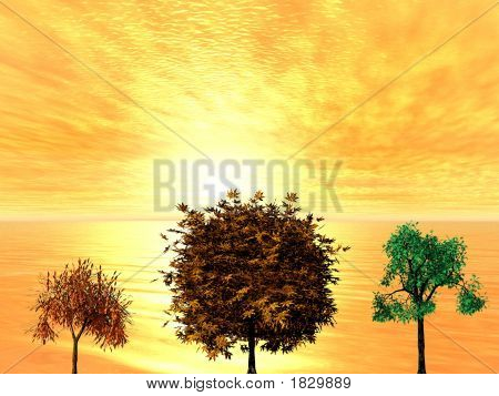 Alberi
