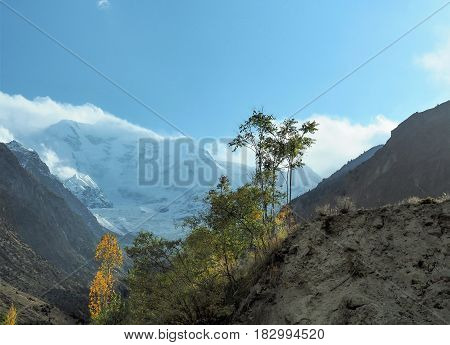 Rakaposhi Glacier Mountain Peak In The Karakoram Mountain Range, Nagar, Gilgit-Baltistan, Northern Pakistan