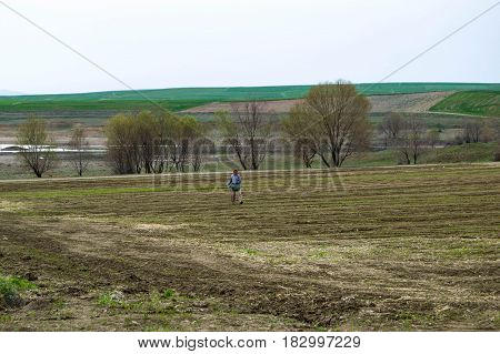 Fertilized cultivated field, fertilized green lentil field, fertilizer and agriculture