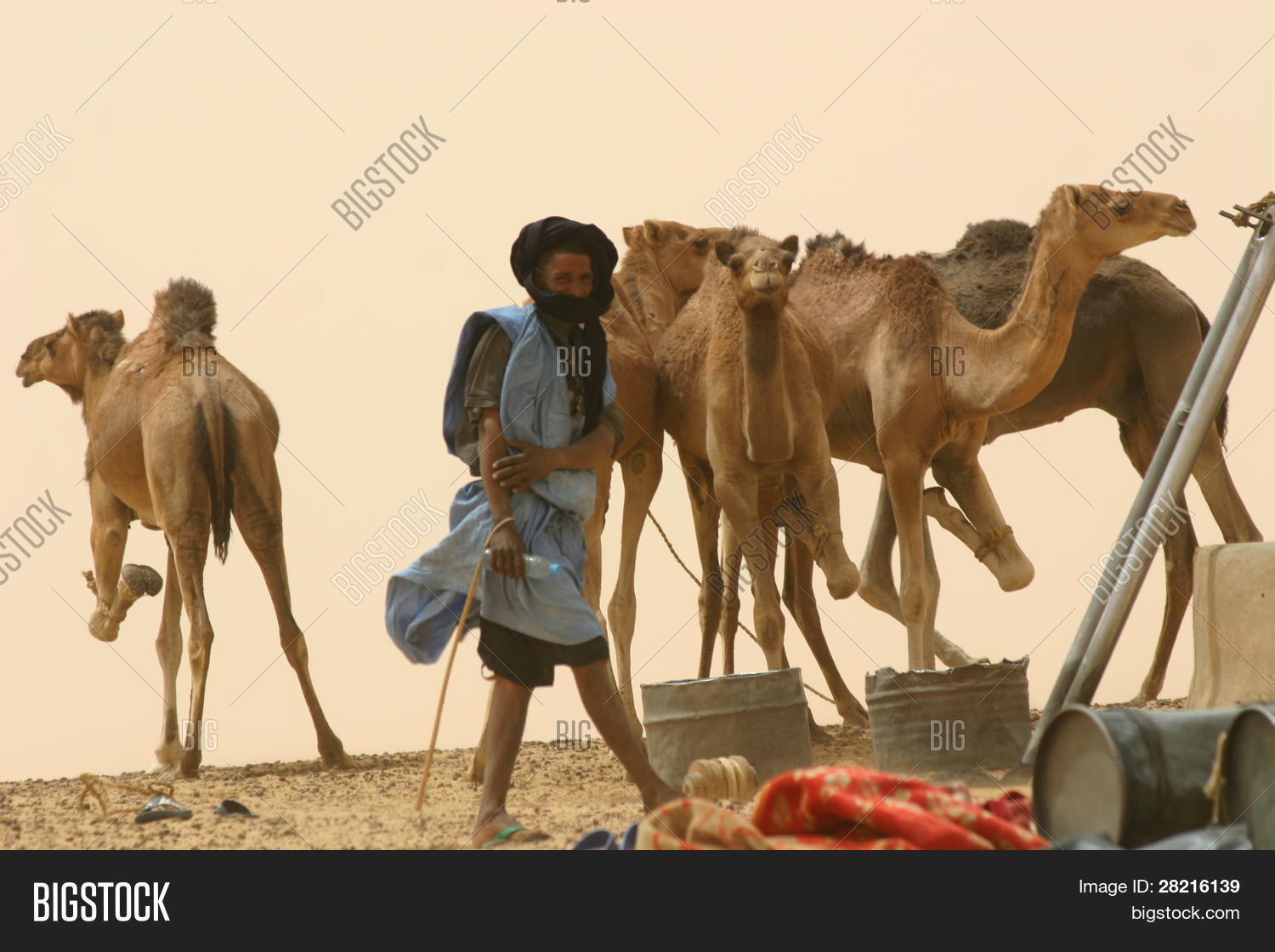 Image Preview