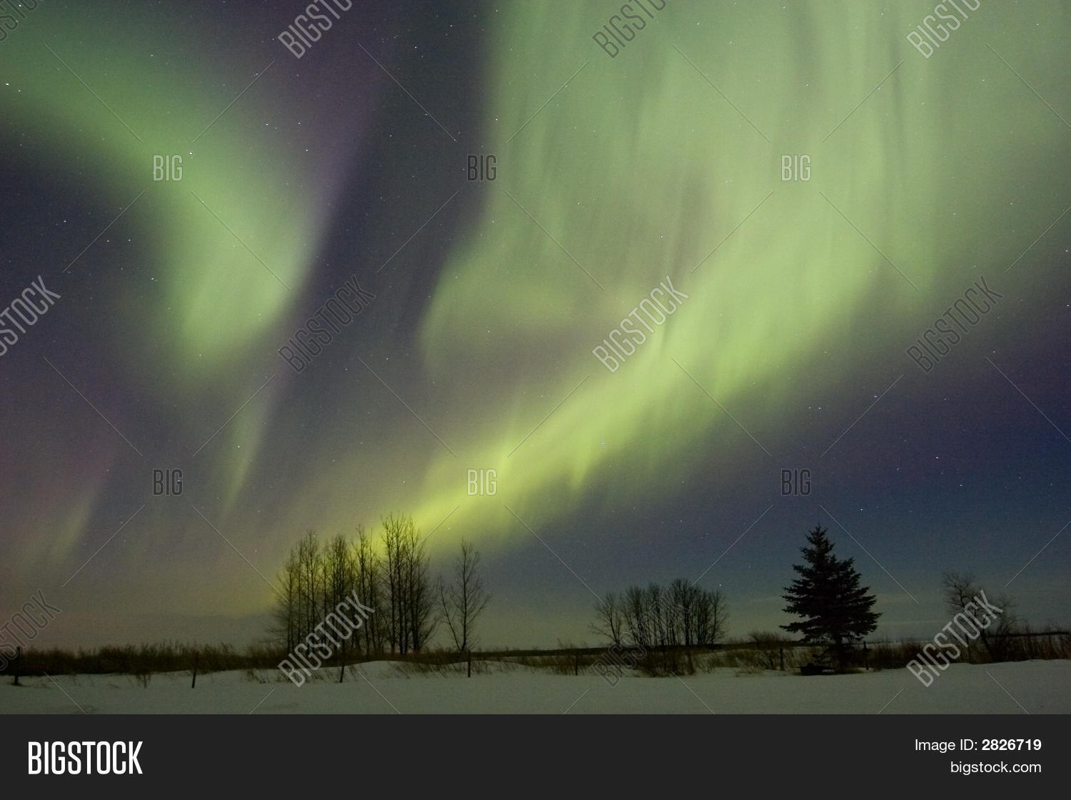 Image Preview
