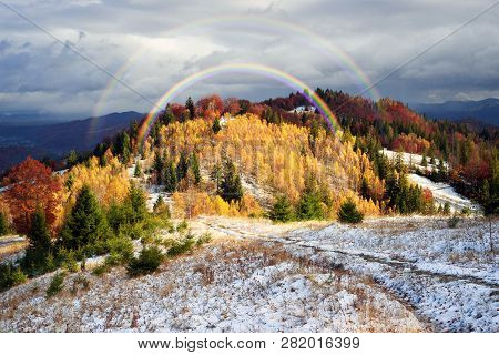 Golden Forest Ridge Sokilsky