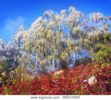Sokal Ridge In The Fall