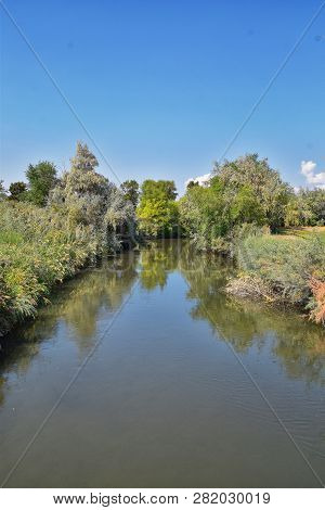 Views Of Jordan River Trail With Surrounding Trees, Russian Olive, Cottonwood And Silt Filled Muddy 
