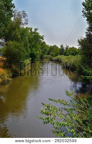 Views Of Jordan River Trail With Surrounding Trees, Russian Olive, Cottonwood And Silt Filled Muddy 