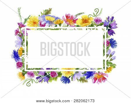 Frame With Hand-drawn Wildflowers Isolated On White Background With Place For Text. Watercolor Illus
