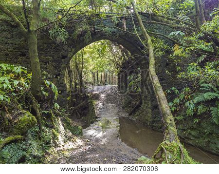 Old Stone Water-conduit Bridge Covered By Moss And Lush Vegetation On Footpath Hiking Trail Janela D
