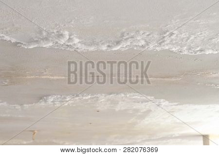 White Mildew Powdery Appearance On Ceiling House