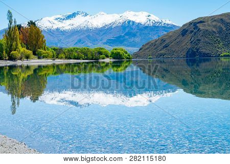 Lake Wanaka From Glendhu Bay Beautifully Calm Reflecting Spring Color Foliage And Southern Alps As B