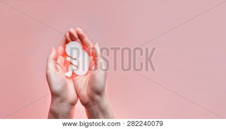 Womans Palms Pressed Together And Keep Paper Embryo. Light Pink Background With Copy Space. Soft Foc