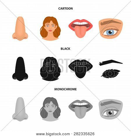 Vector Illustration Of Body And Part Icon. Set Of Body And Anatomy Stock Vector Illustration.