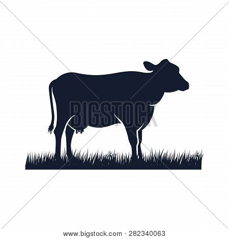 Cow Silhouette Vector Icon. Black Angus Vector Illustration