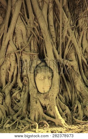 A Stone Head Of Buddha In Wat Prha Mahathat Temple
