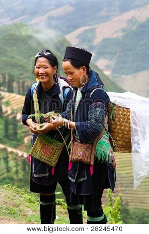 Mosolygó Hmong nők