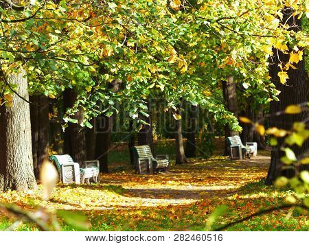 Bench In The Old Park. Autumn In The Park.