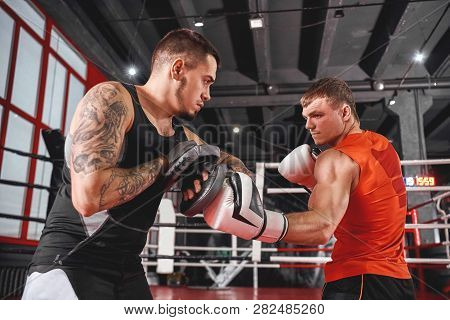 Heavy Hook To The Body. Handsome Sportsman In Sports Clothing Training On Boxing Paws With Partner I