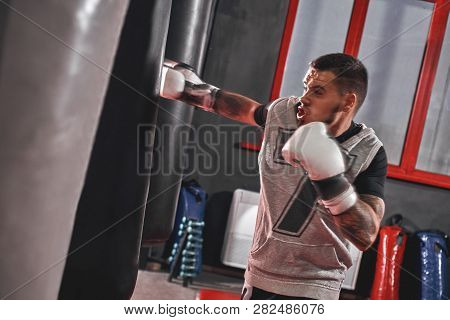Pushing To The Limit. Tattooed Muscular Athlete In Sports Clothing Training Hard On Heavy Punch Bag 