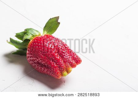 Ugly Organic Home Grown Strawberries Isolated On White