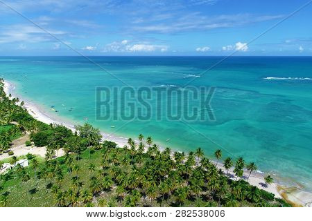 Vacation On Deserted Beach In Brazil. São Miguel Dos Milagres, Alagoas, Brazil. Fantastic Landscape.