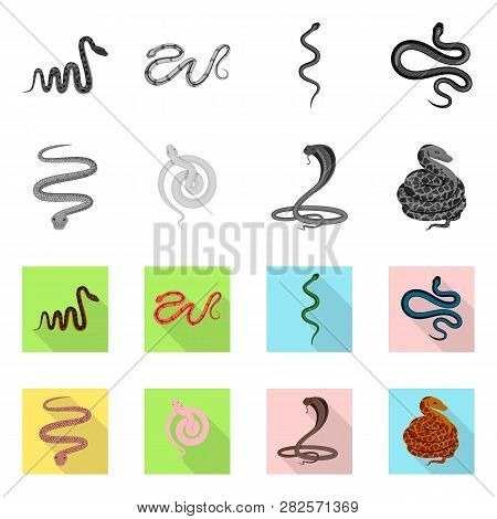 Vector Design Of Mammal And Danger Symbol. Collection Of Mammal And Medicine Stock Vector Illustrati