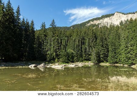 Summer Landscape Of  Saladzha Smolyan Lake At Rhodope Mountains, Smolyan Region, Bulgaria