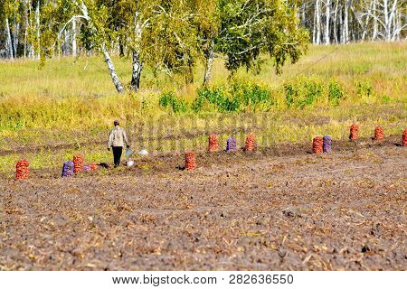 Agriculture Is Well Developed In Altaic Edge