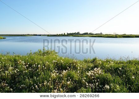 Paesaggio del lago di estate