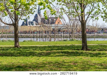 Green Park Gardeb. Fresh Natural Park. Tree Blossoms In Bloom During The Spring.