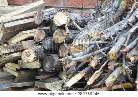 Log, Chopped Firewood With An Ax, Combined Firewood, Chopping Wood. Cutting Down Of Spruce Wood
