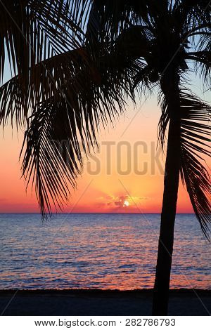 Beautiful Sunset On The Beach, Sun Goes Down To The Sea. Palm On The Bayshore. Calm Ambient, Rest An