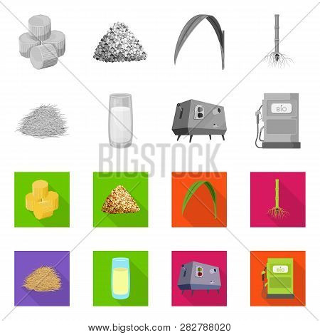 Vector Illustration Of Farm And Agriculture  Icon. Set Of Farm And Technology Stock Symbol For Web.