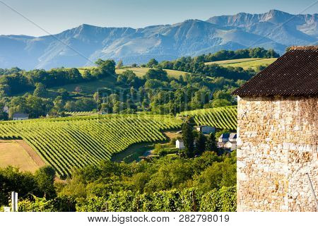 vineyard, Jurancon, France