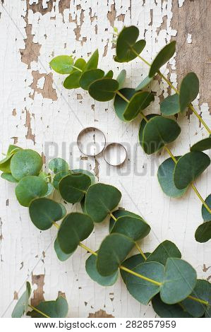 Wedding Rings On A White Old Table With A Sprig Of Eucalyptus