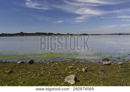 Pond Pauli Piccia In The Giara Of Tuili