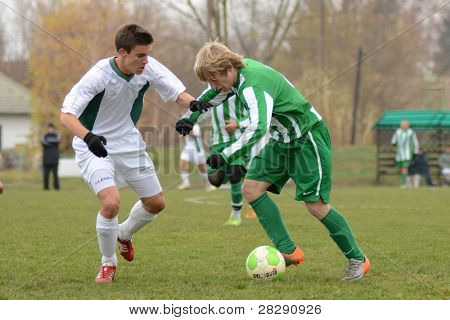 KAPOSVÁR, Maďarsko - 27. listopadu: Neidentifikovaný hráči v akci na Maďarské národní Championsh