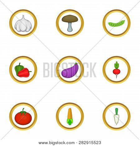 Vegetable Icons Set. Cartoon Set Of 9 Vegetable Icons For Web Isolated On White Background