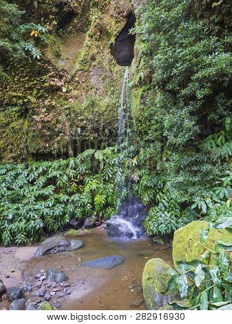 Waterfall Cascade Falling From Rock Cave Covered By Moss And Lush Vegetation On Hiking Trail Janela 