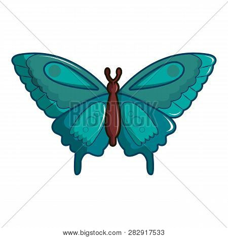 Butterfly Morpho Anaxibia Icon. Cartoon Illustration Of Butterfly Morpho Anaxibia Icon For Web Desig