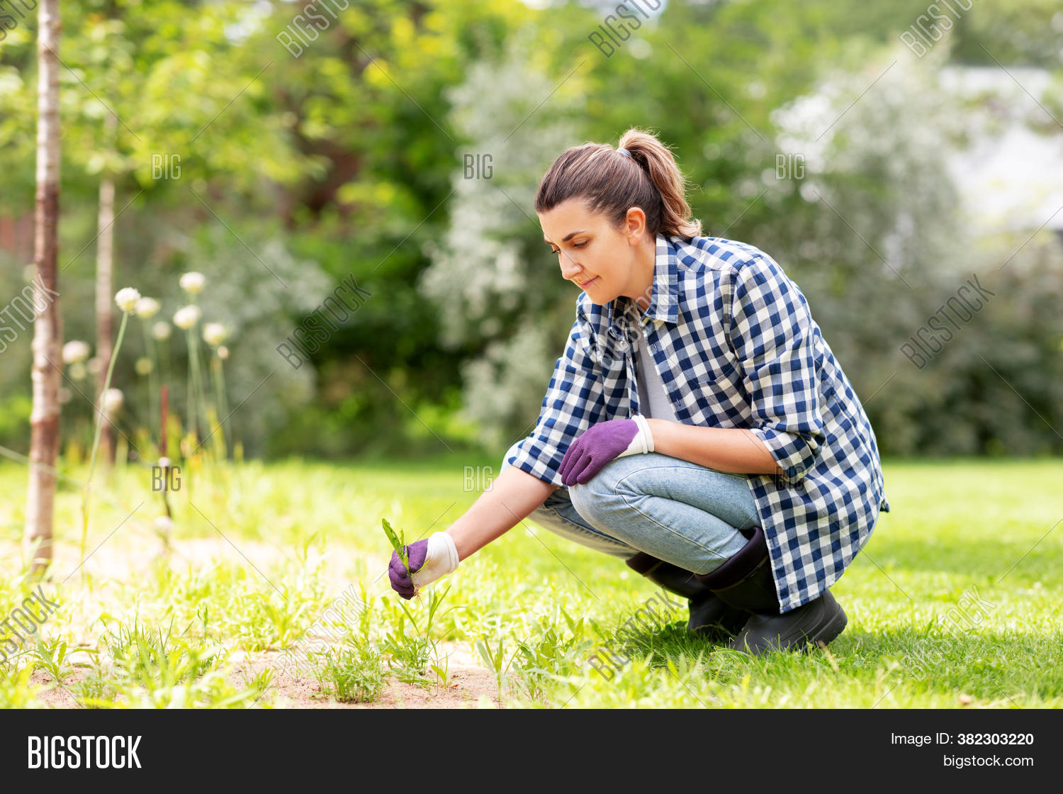 Gardening People Image & Photo (Free Trial) Bigstock