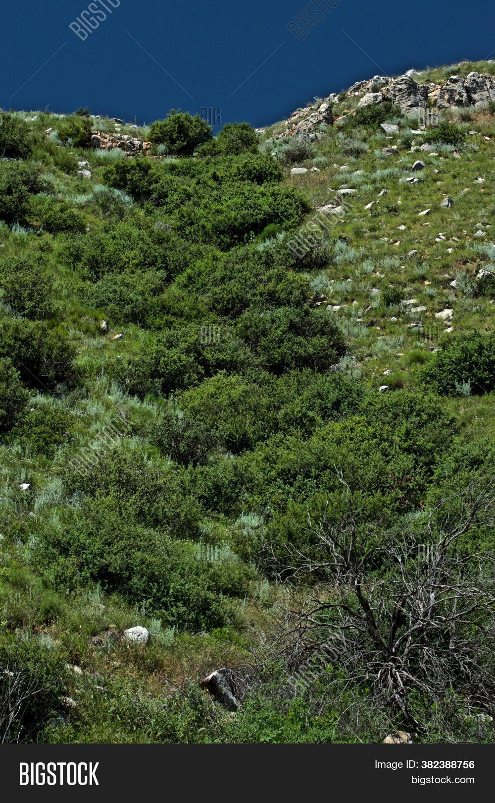 Lake Greenbelt Image & Photo (Free Trial) Bigstock